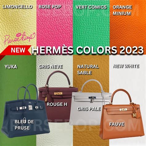 hermes kelly colours 2021|hermes kelly bag models.